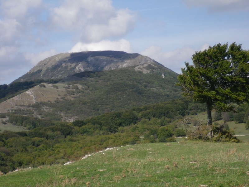 Una mattinata al San Vicino